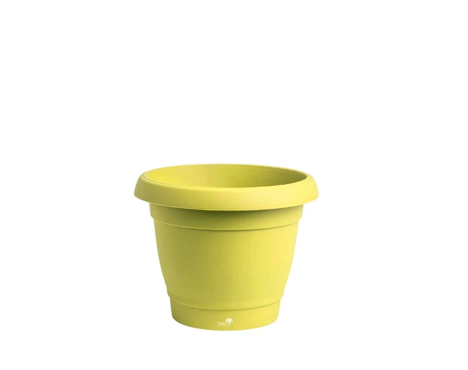 תמונת מוצר 1