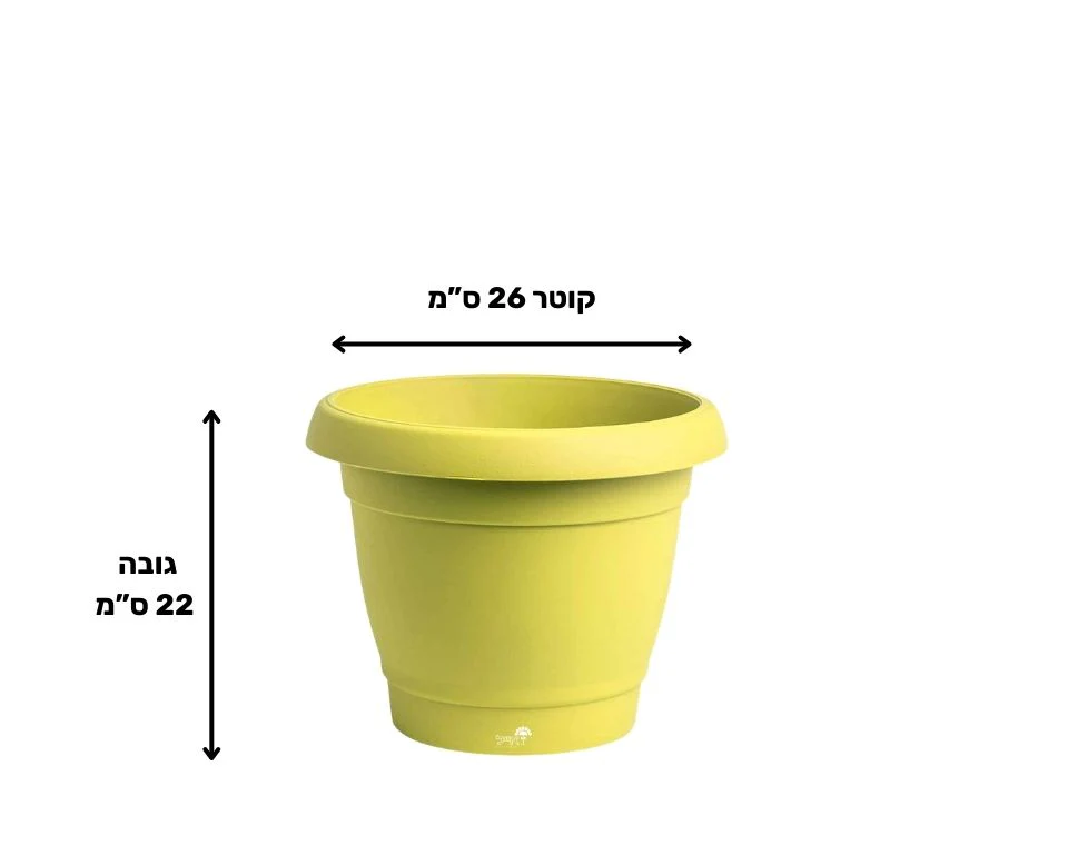 תמונת מוצר 2