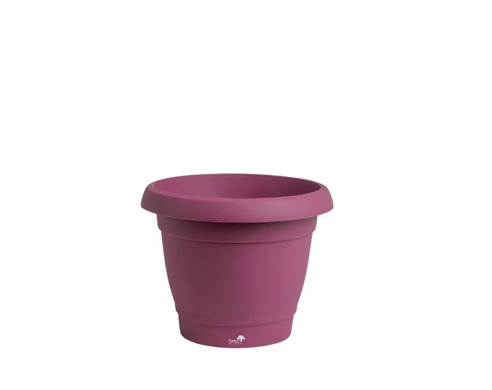 תמונת מוצר 1