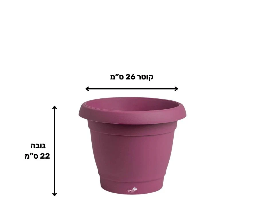 תמונת מוצר 2