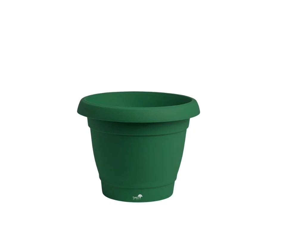 תמונת מוצר 1