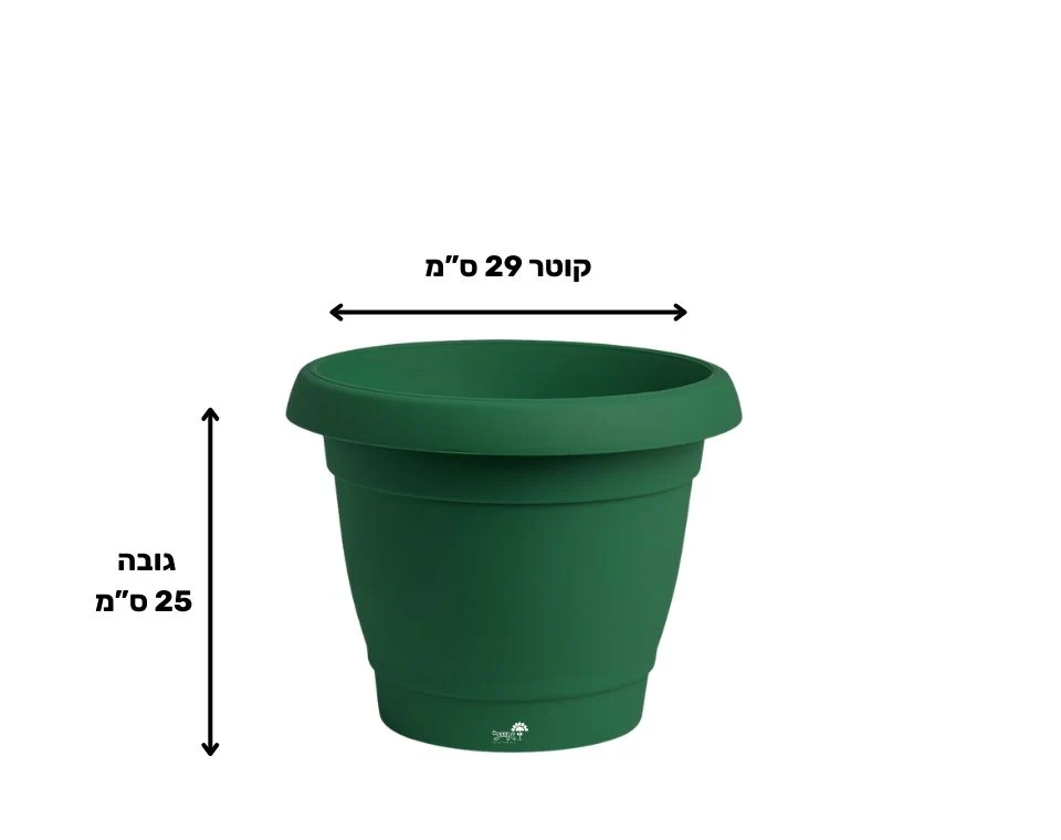 תמונת מוצר 2