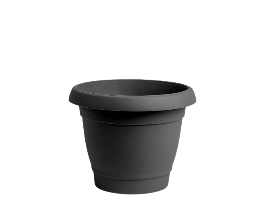 תמונת מוצר 1