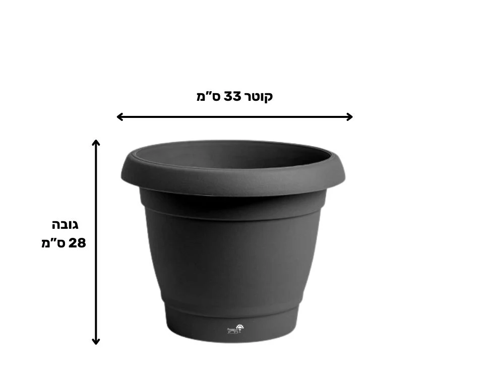 תמונת מוצר 2