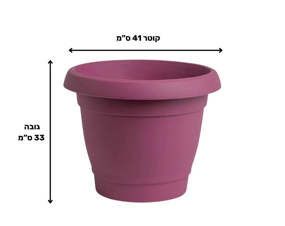 תמונת מוצר 2