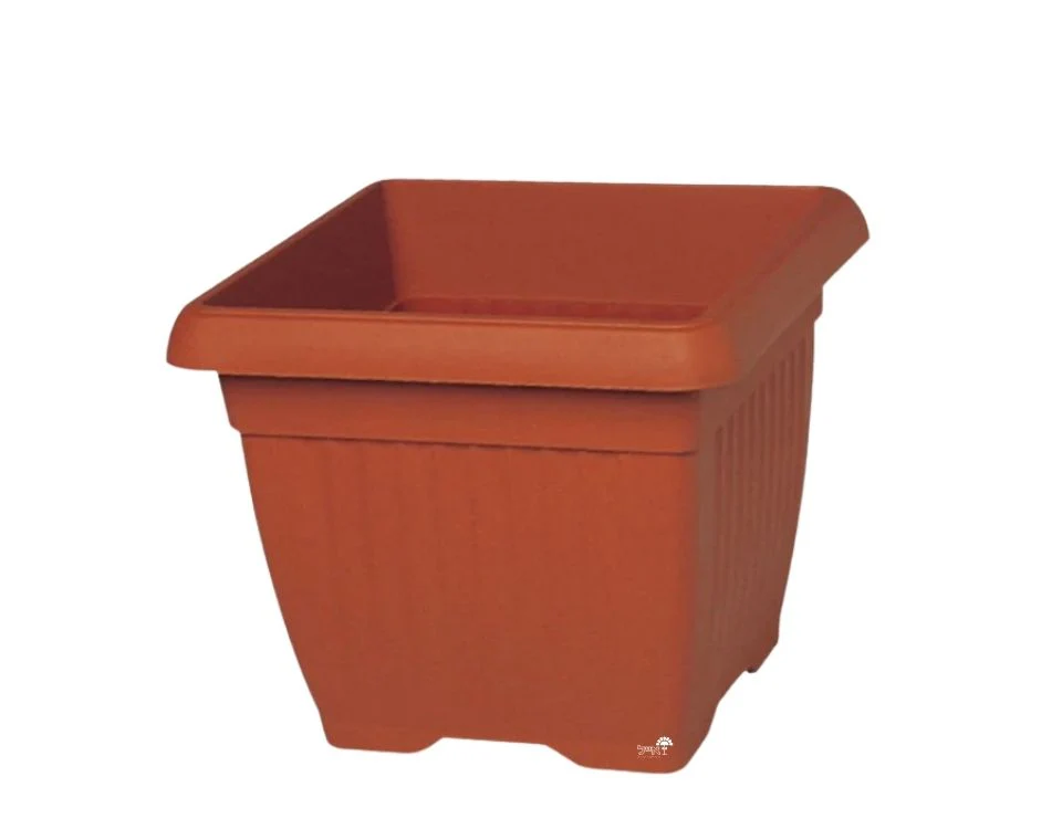 תמונת מוצר 1