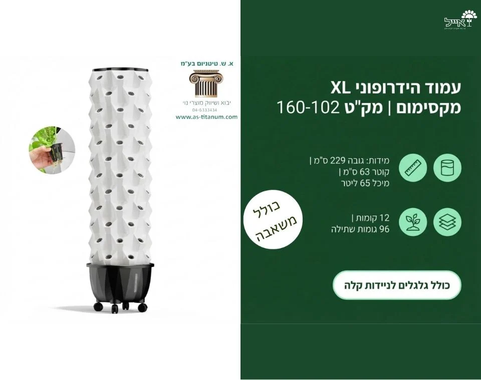תמונת מוצר 3