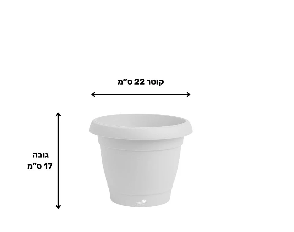 תמונת מוצר 2