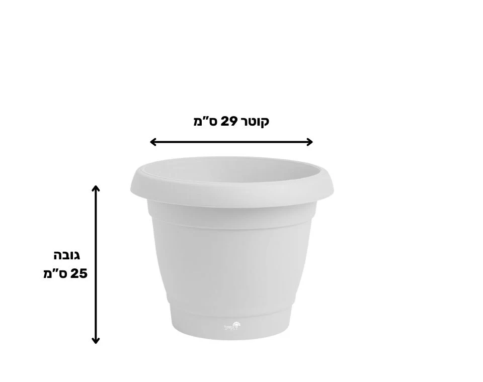 תמונת מוצר 2