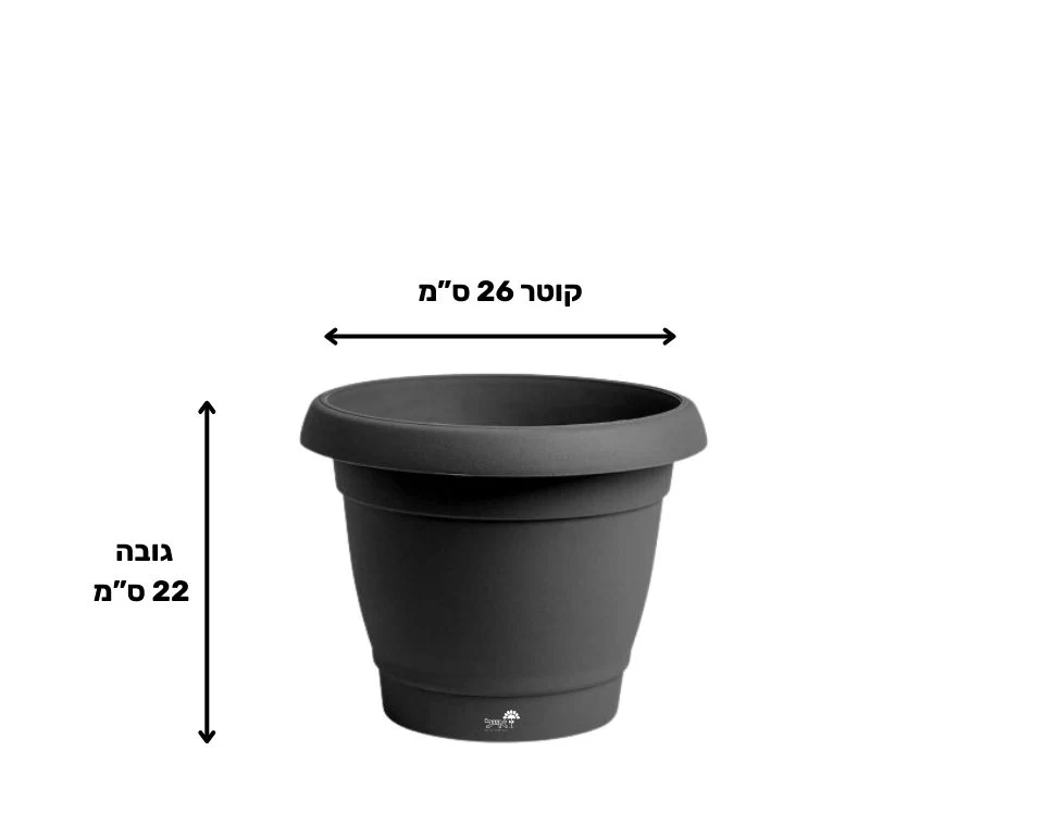 תמונת מוצר 2