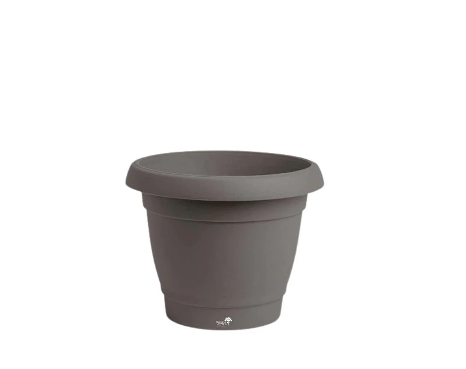 תמונת מוצר 1
