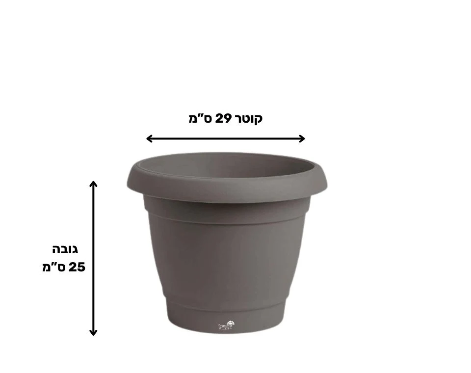 תמונת מוצר 2