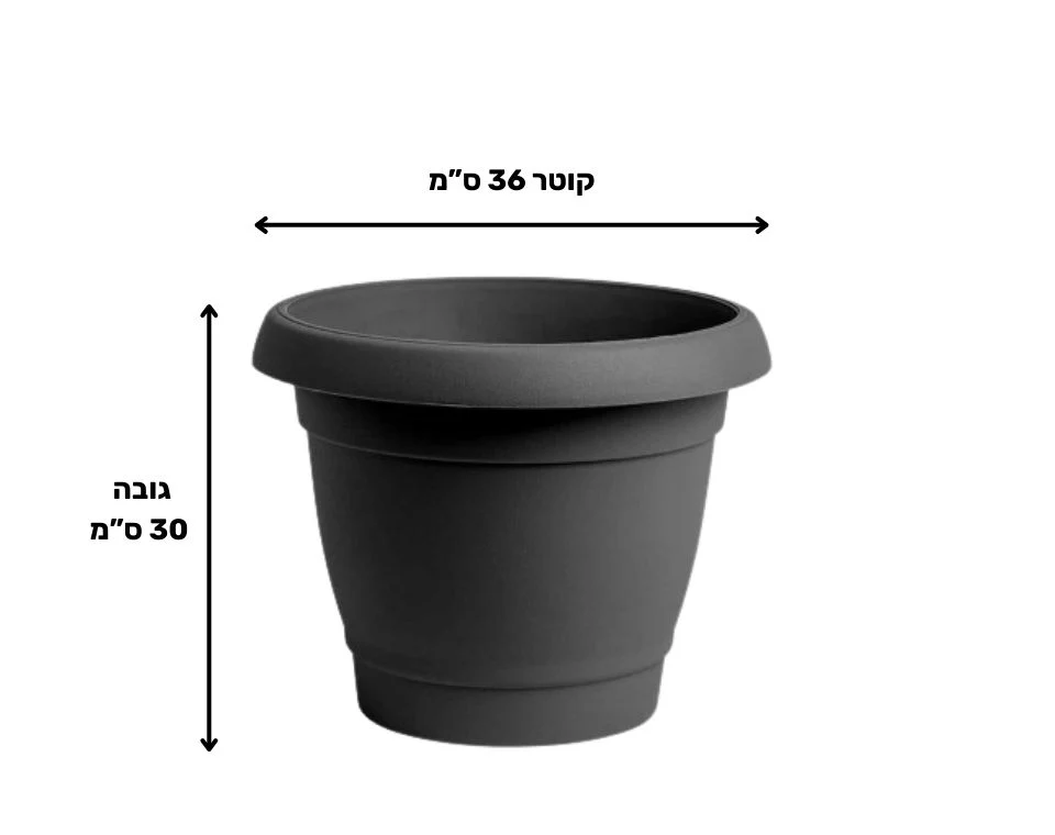 תמונת מוצר 2