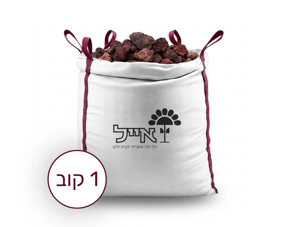 תמונת מוצר 1