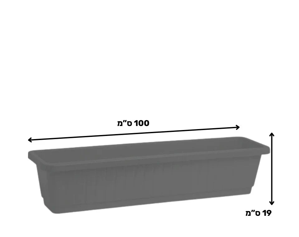 תמונת מוצר 2