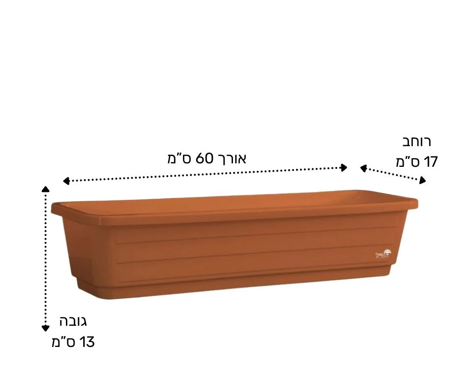 תמונת מוצר 2