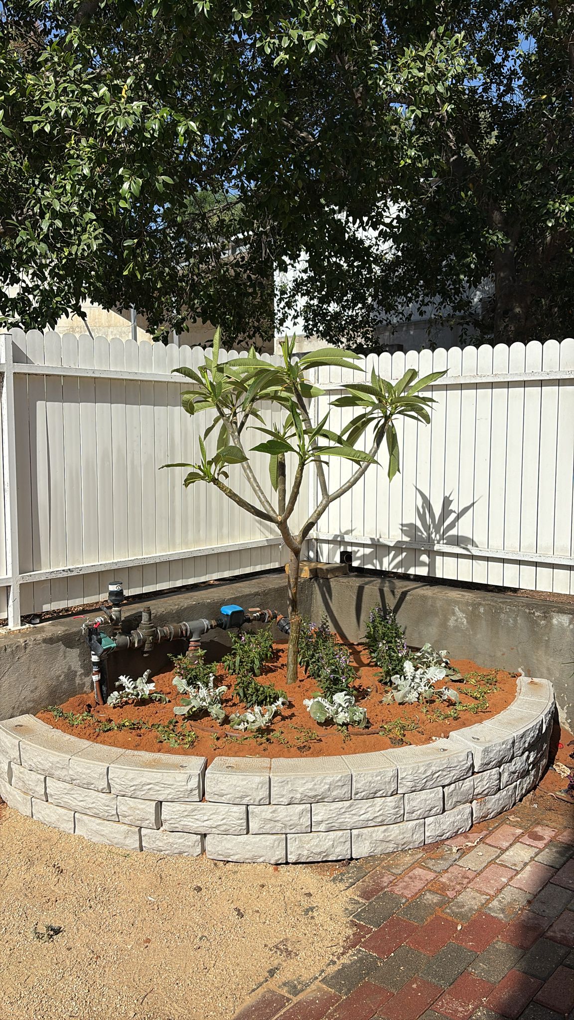 תמונת מוצר 4