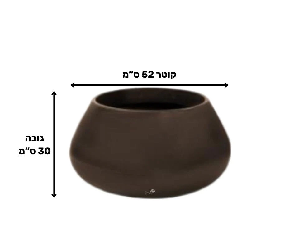 תמונת מוצר 2