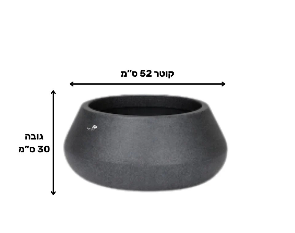 תמונת מוצר 2