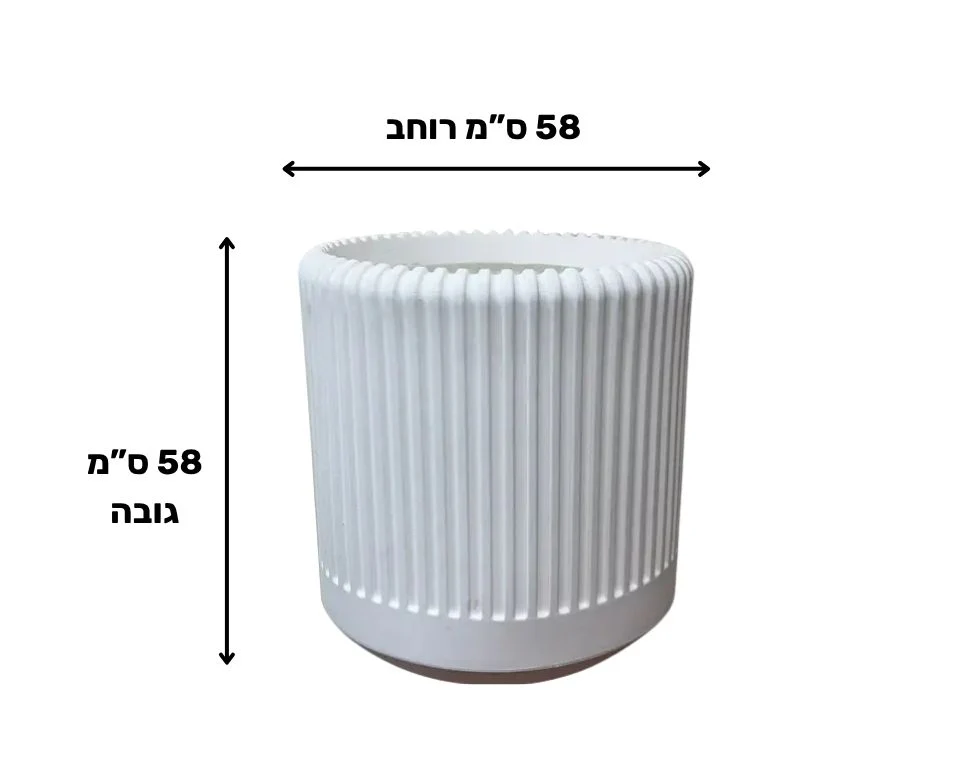 תמונת מוצר 2