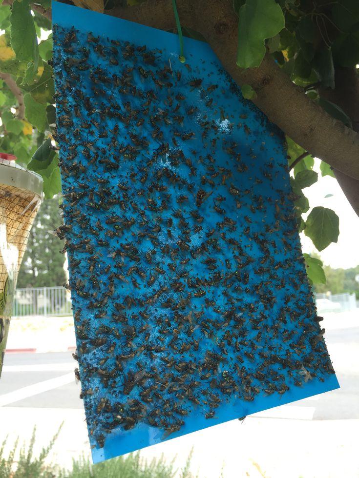 תמונת מוצר 3