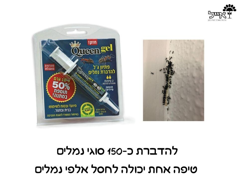 תמונת מוצר 2