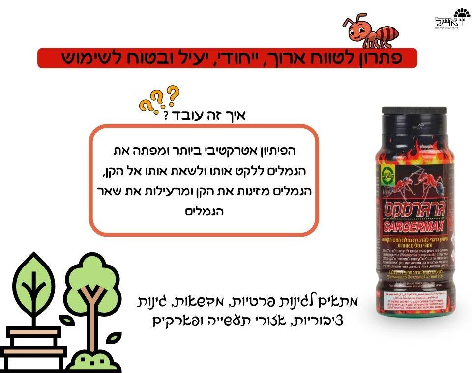 תמונת מוצר 2