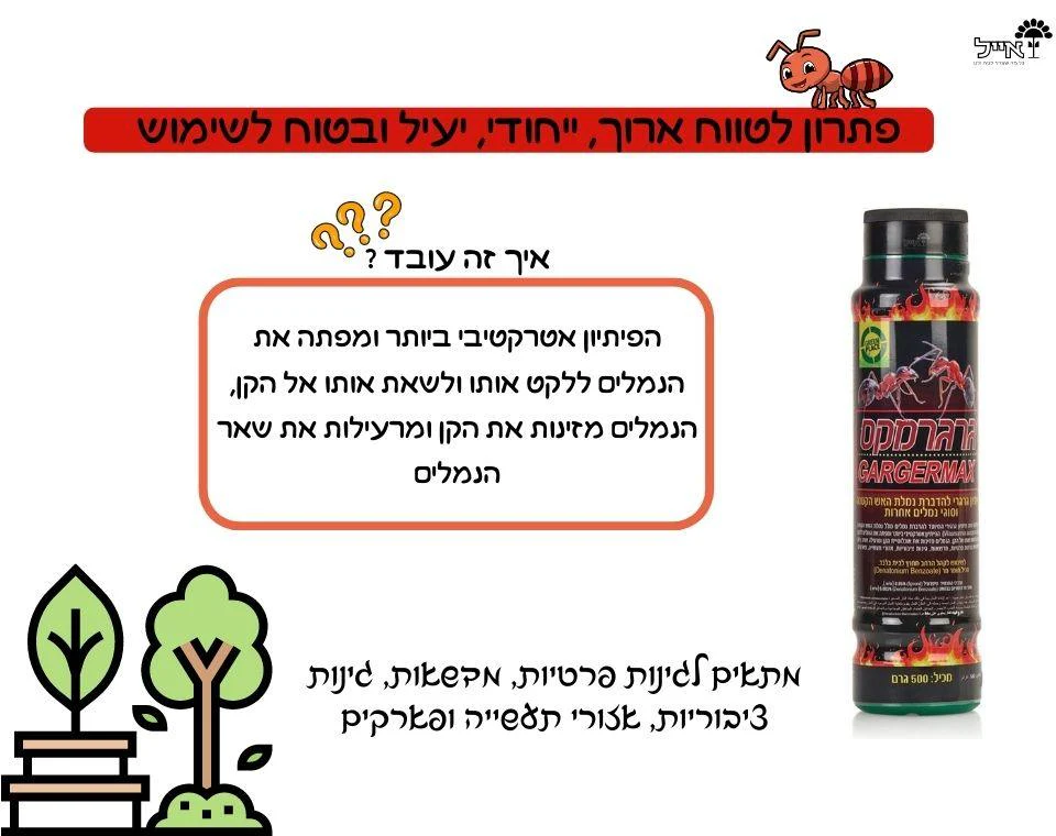 תמונת מוצר 2