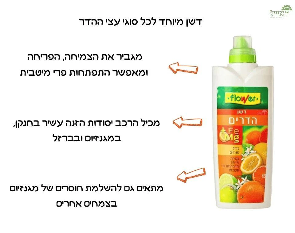תמונת מוצר 2