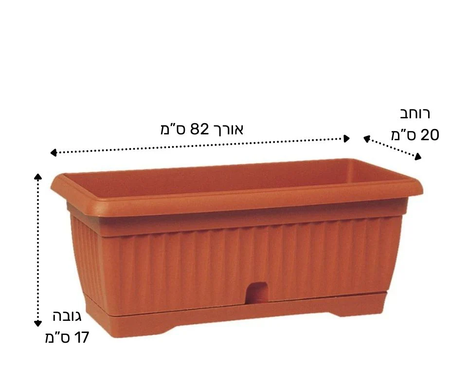 תמונת מוצר 2