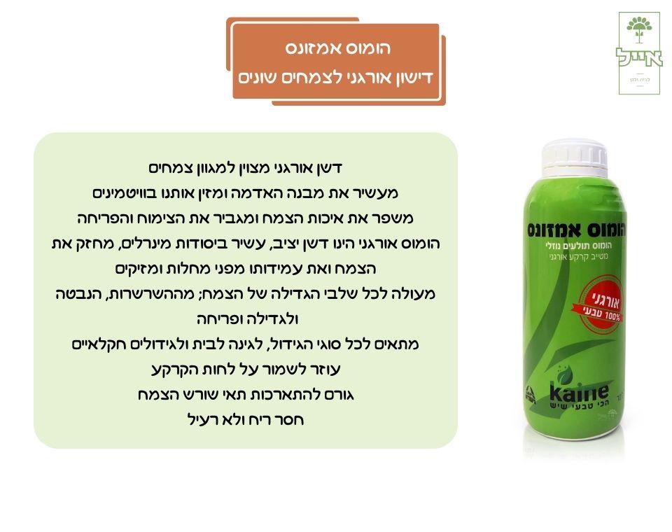 תמונת מוצר 3