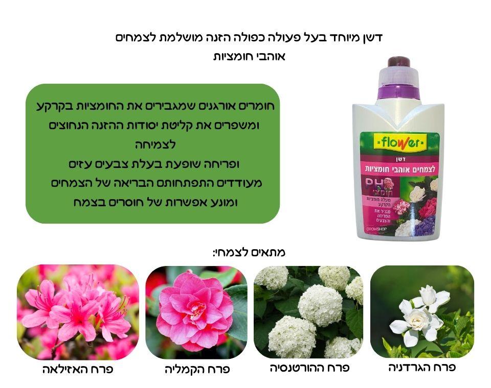 תמונת מוצר 2
