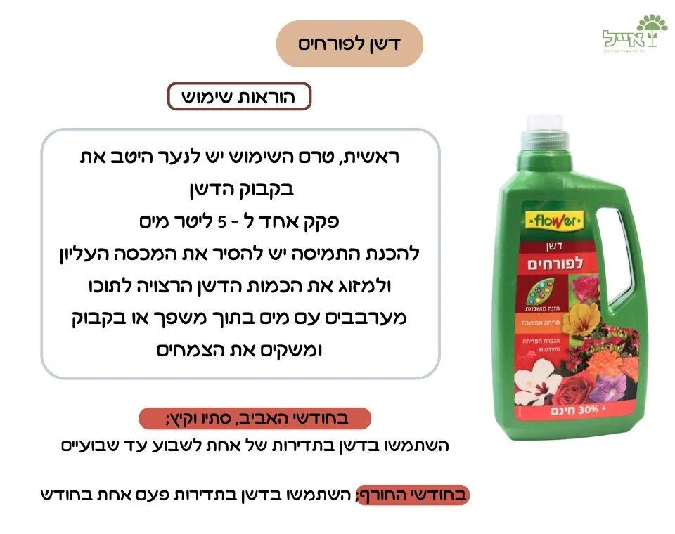 תמונת מוצר 3