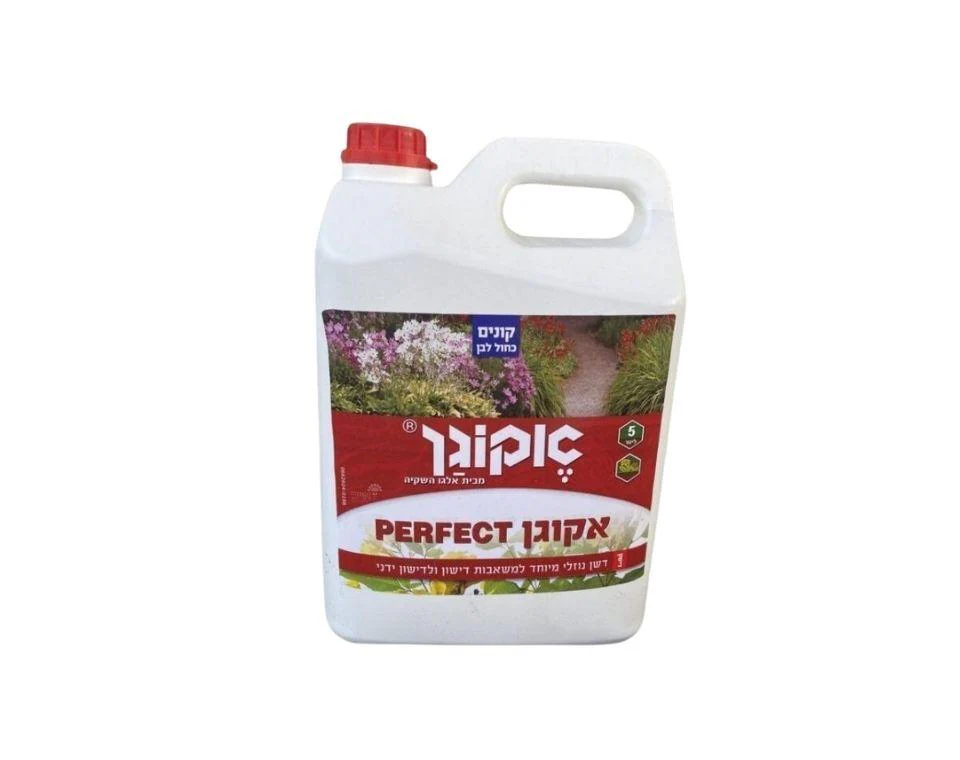 תמונת מוצר 1