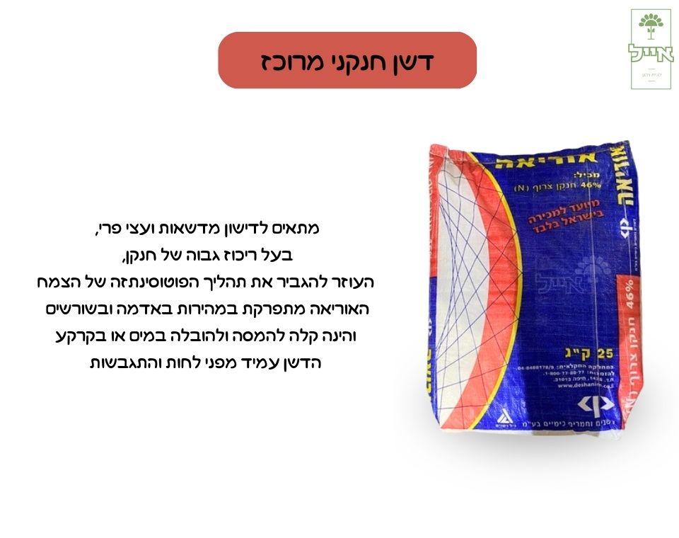 תמונת מוצר 2