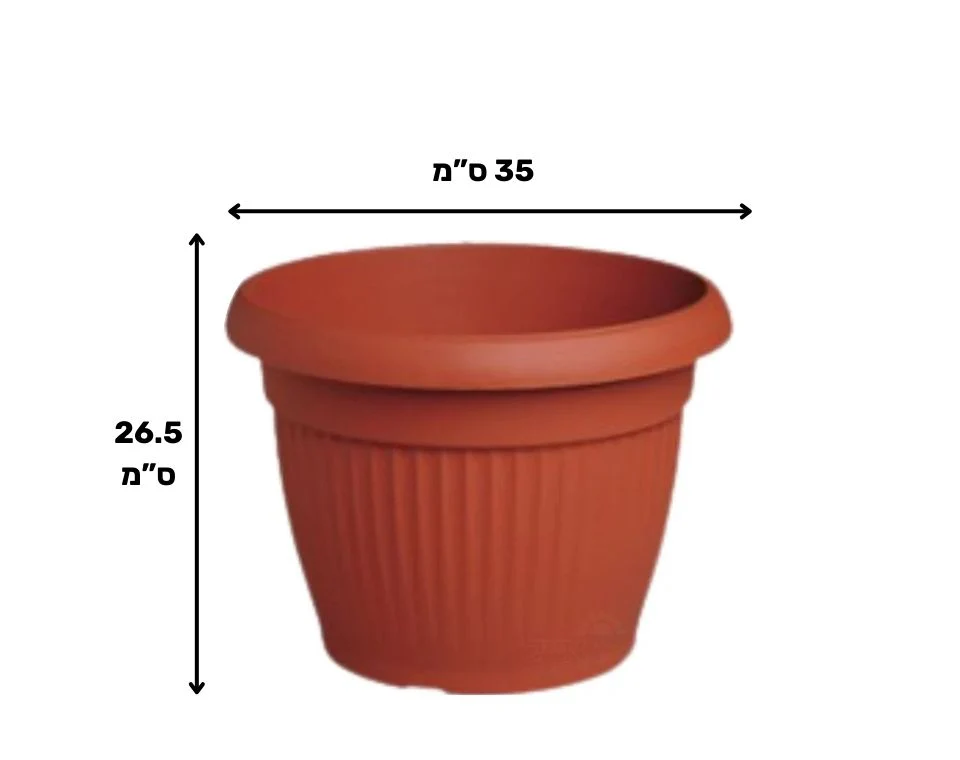 תמונת מוצר 2