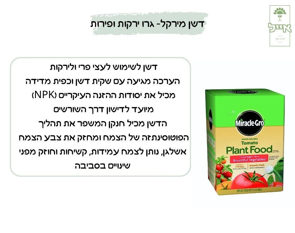 תמונת מוצר 2
