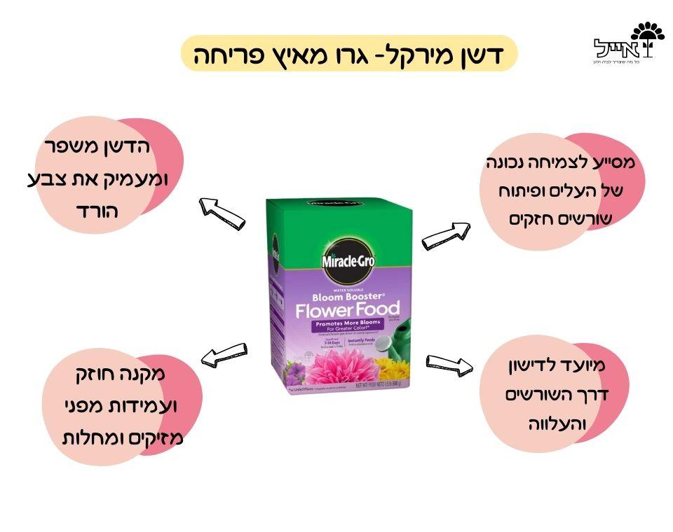 תמונת מוצר 2