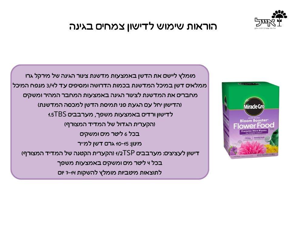 תמונת מוצר 3