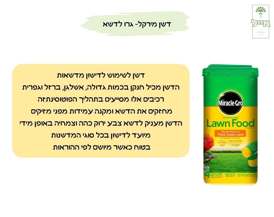 תמונת מוצר 2