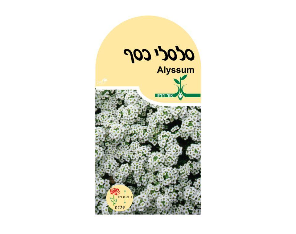 תמונת מוצר 1