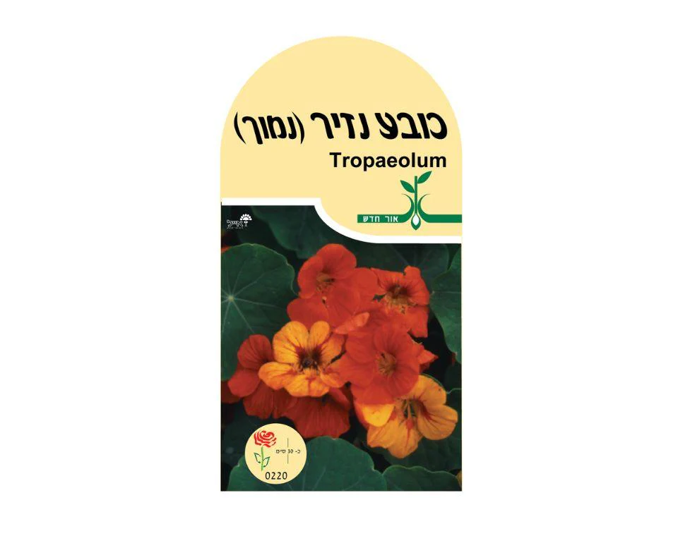 תמונת מוצר 1