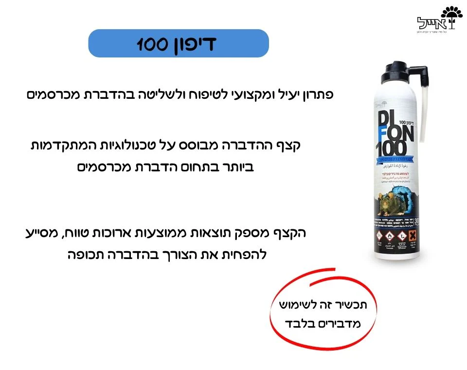 תמונת מוצר 2