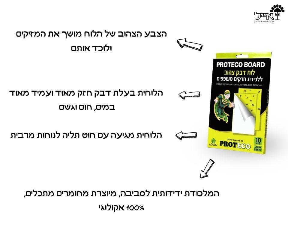 תמונה ממוזערת 2
