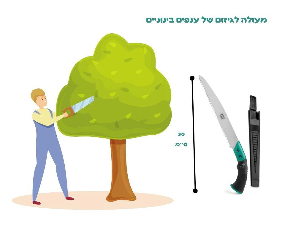 תמונת מוצר 3