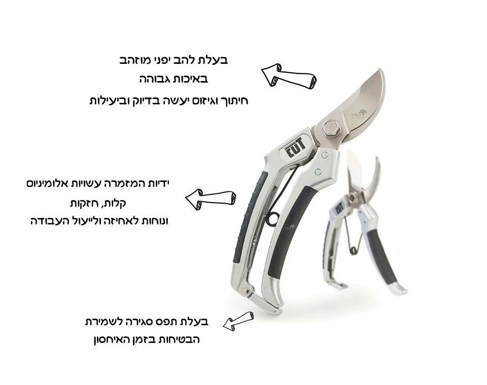 תמונת מוצר 3