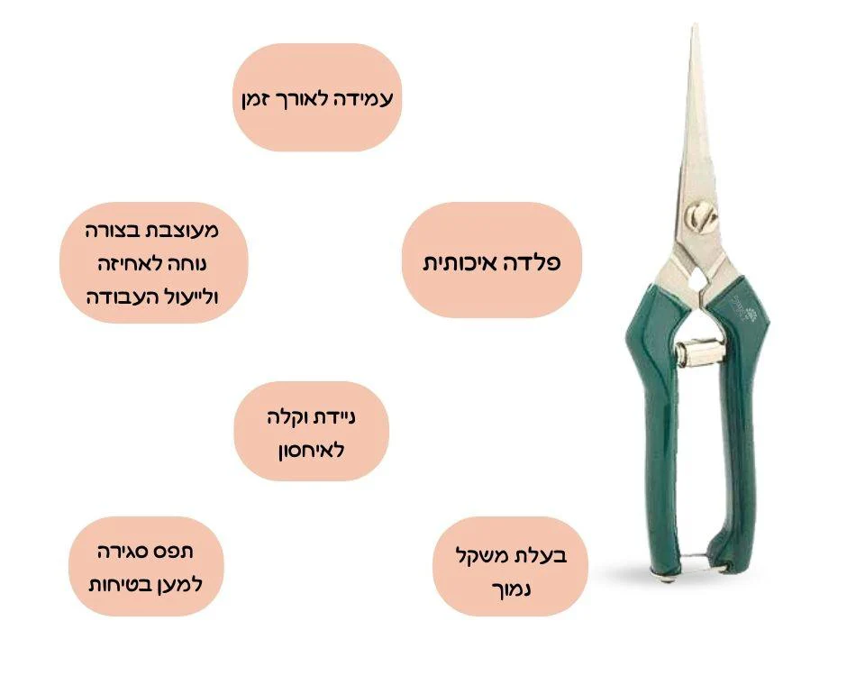 תמונת מוצר 2