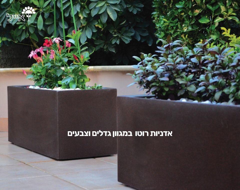 תמונת מוצר 4