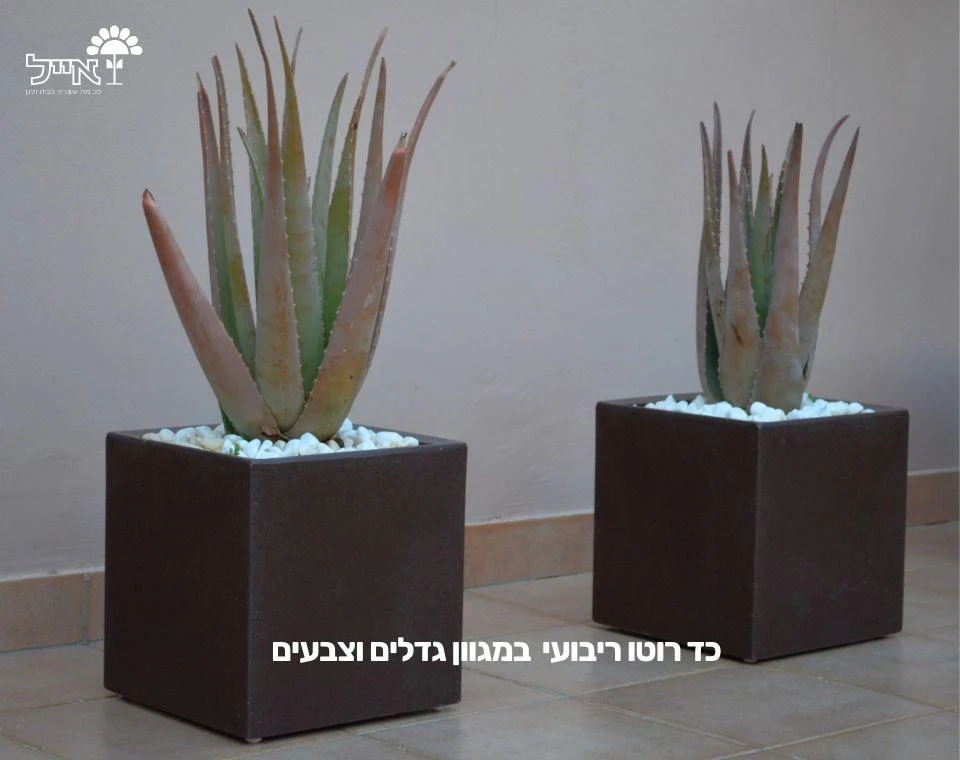 תמונת מוצר 3
