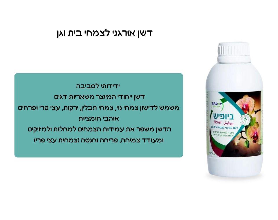 תמונת מוצר 2